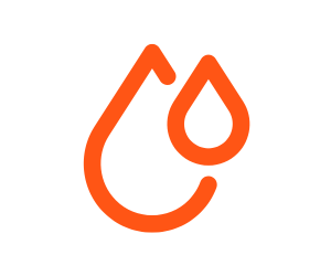 Diseño sin título (74)-1