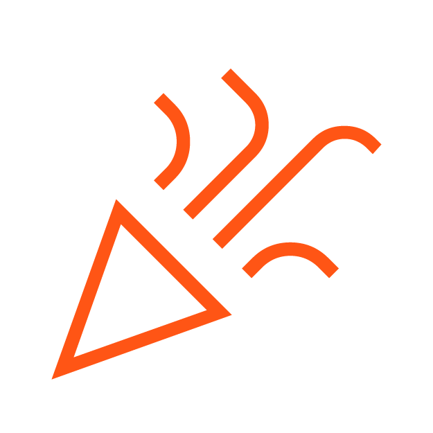 ICONOS ELEGIDO_INCLUSION