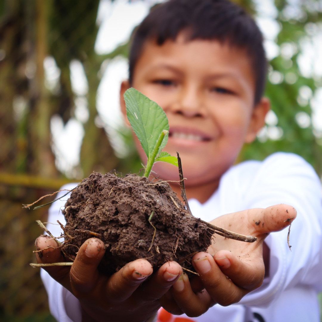 portada cuadrada blog (11)